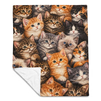 Cute_Kittens_Blanket