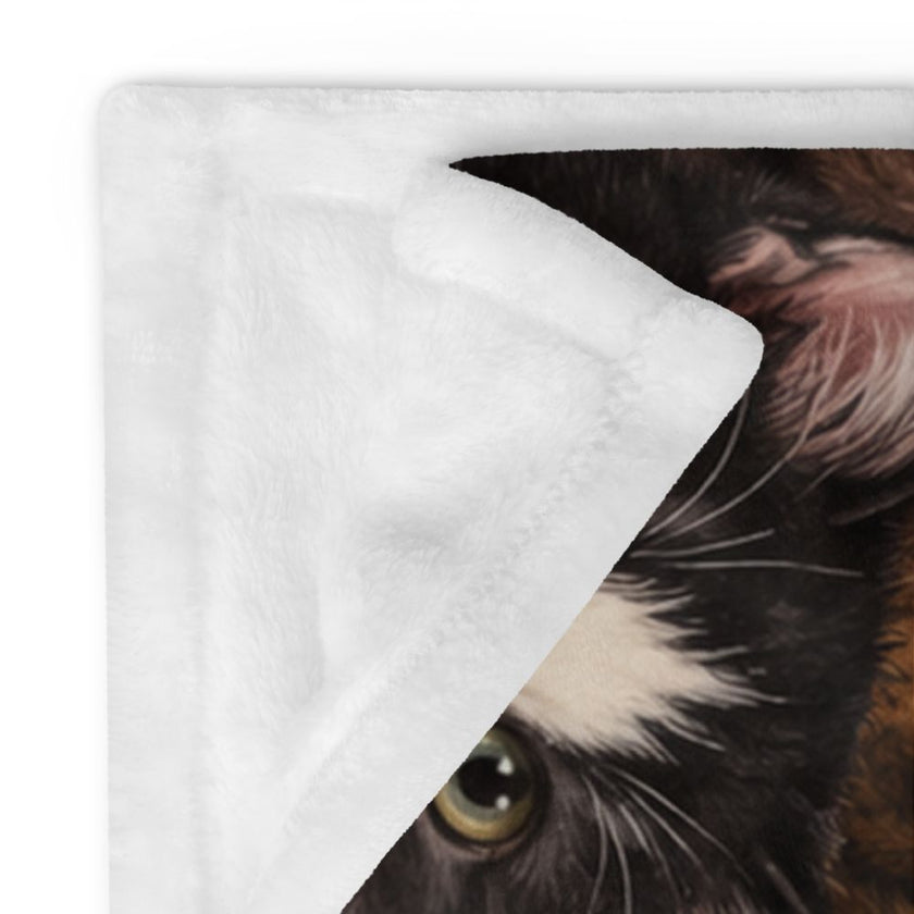 Cute Kittens Blanket